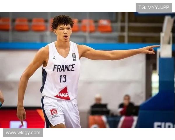 2024赛季法甲联赛数据全面解析与趋势展望