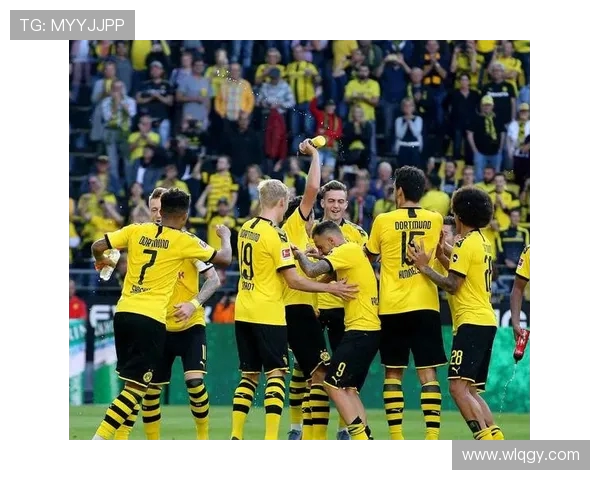 德甲知名球队盘点及其在联赛中的重要地位