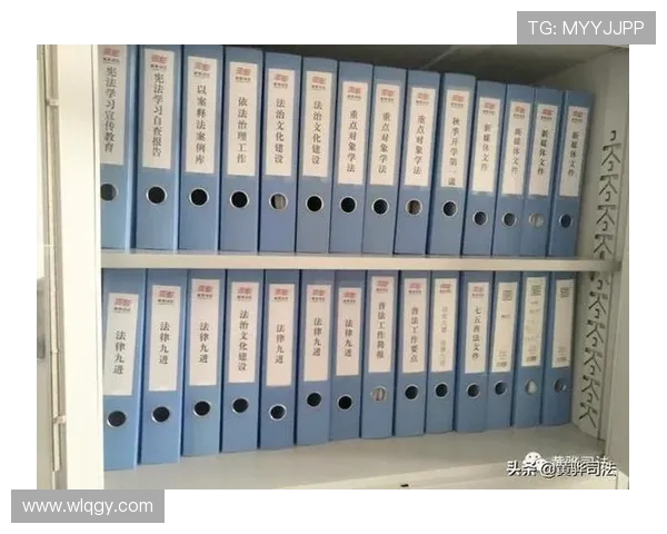 法甲球队2024年青训系统建设及成果评估报告